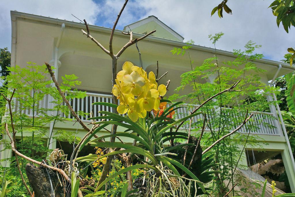 Chalet Petit Baie Au Cap